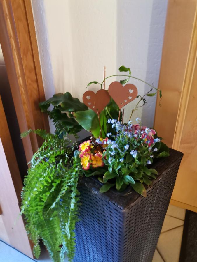 Ferienwohnung Hohe Wand Heiligenblut Εξωτερικό φωτογραφία
